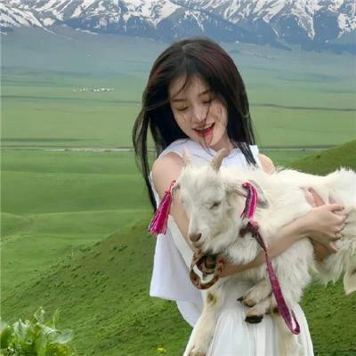 贝肯熊：火星任务